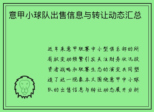 意甲小球队出售信息与转让动态汇总