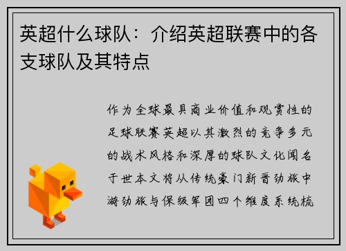英超什么球队：介绍英超联赛中的各支球队及其特点